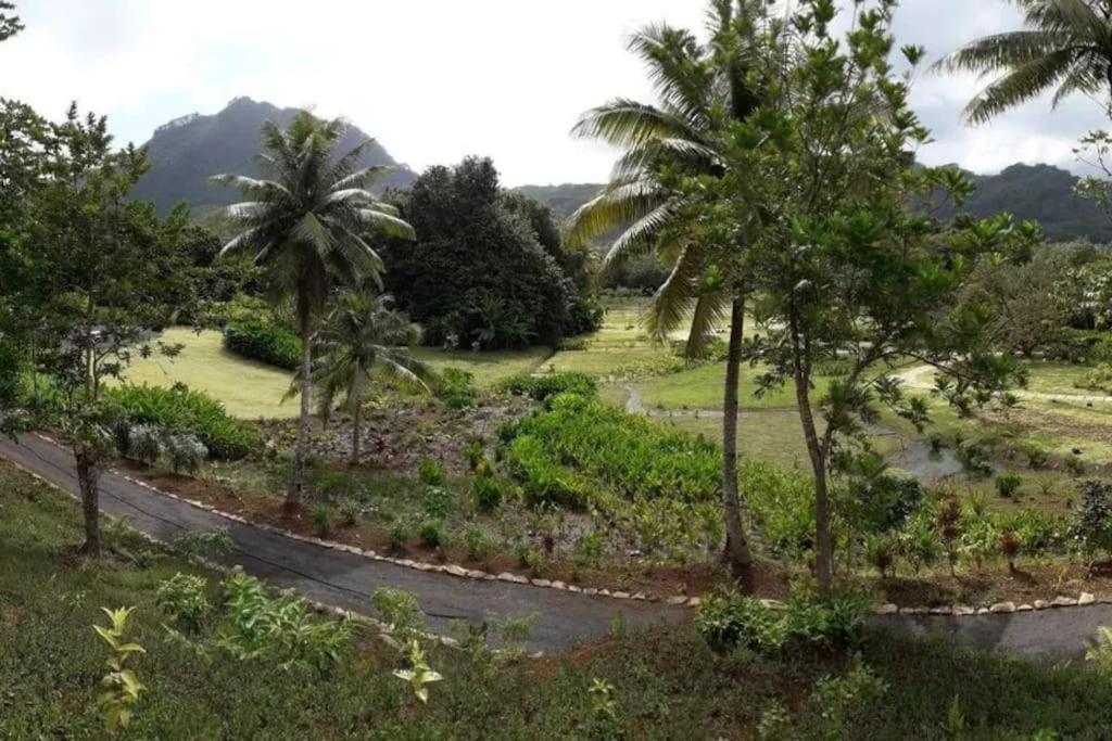 Duplex En Bord De Mer Fare Tahitea Pension Taputapuapea エクステリア 写真