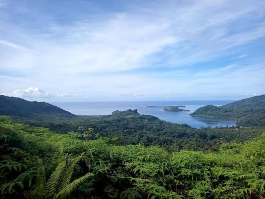 Duplex En Bord De Mer Fare Tahitea Pension Taputapuapea エクステリア 写真