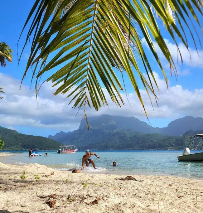 Duplex En Bord De Mer Fare Tahitea Pension Taputapuapea エクステリア 写真